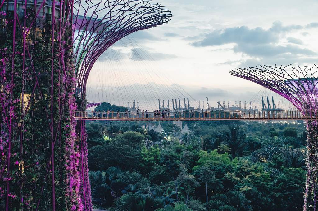 singapore gardens - Opodo blog