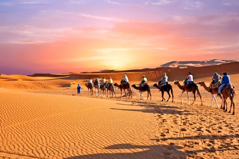 visit morocco in winter sahara dunes with camel caravan