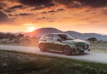 10 Generations of the Peugeot 300 range
