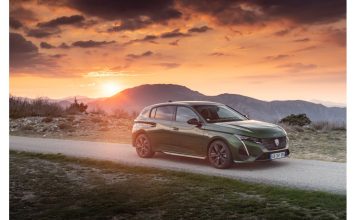 10 Generations of the Peugeot 300 range