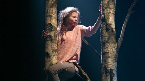 Tree, Blond, Beauty, Fashion, Woody plant, Photography, Branch, Adaptation, Long hair, Plant,