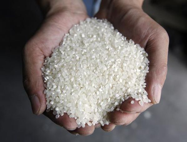 Rice is one of the star elements of any recipe inventory