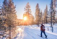 The 6 essential activities to do in winter in Finland Lapland