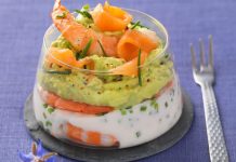 The most sought after Christmas recipes for Thermomix