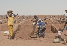 Women who stay in the Sahel and work for land and peace